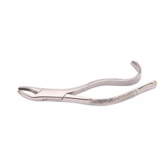 Woodpecker Extracting Forcep 15